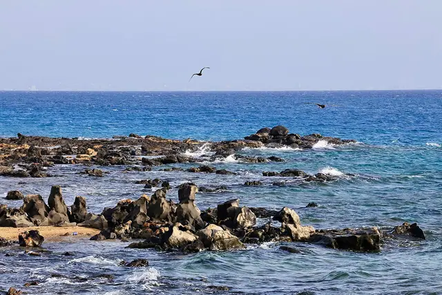 Red Sea Global sign